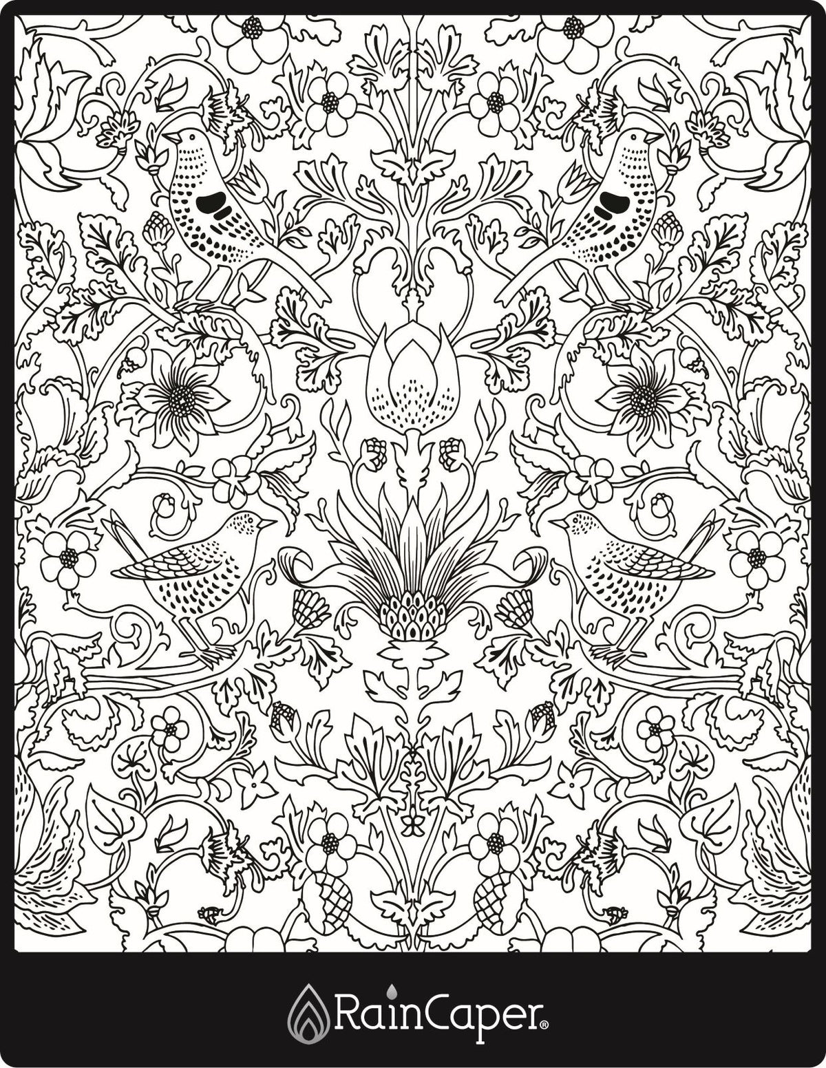 RainCaper Vintage Birds design rendered in black & white as a page in an adult coloring book