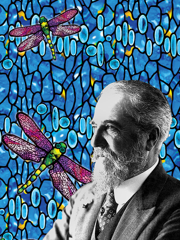 Louis Comfort Tiffany Gifts & Accessories | RainCaper®
