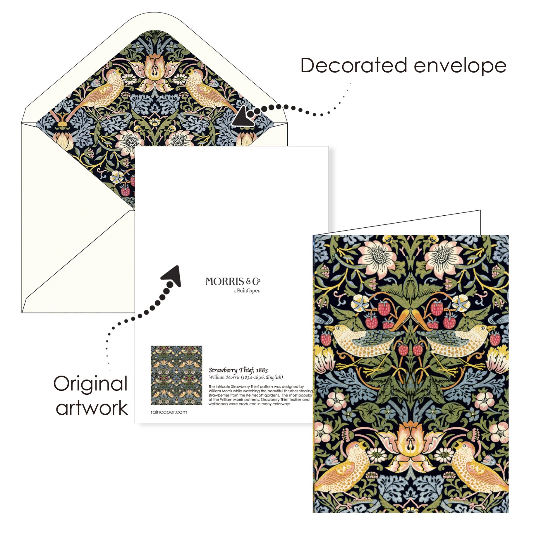 William Morris Favorites - Boxed Blank Note Cards – Set of 16 in a Keepsake Gift Box