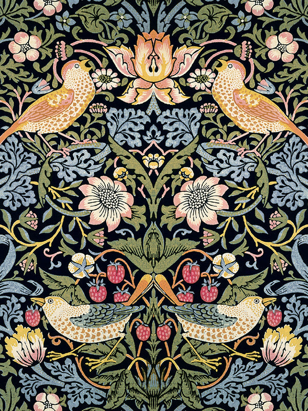 RainCaper William Morris Strawberry Thief art design