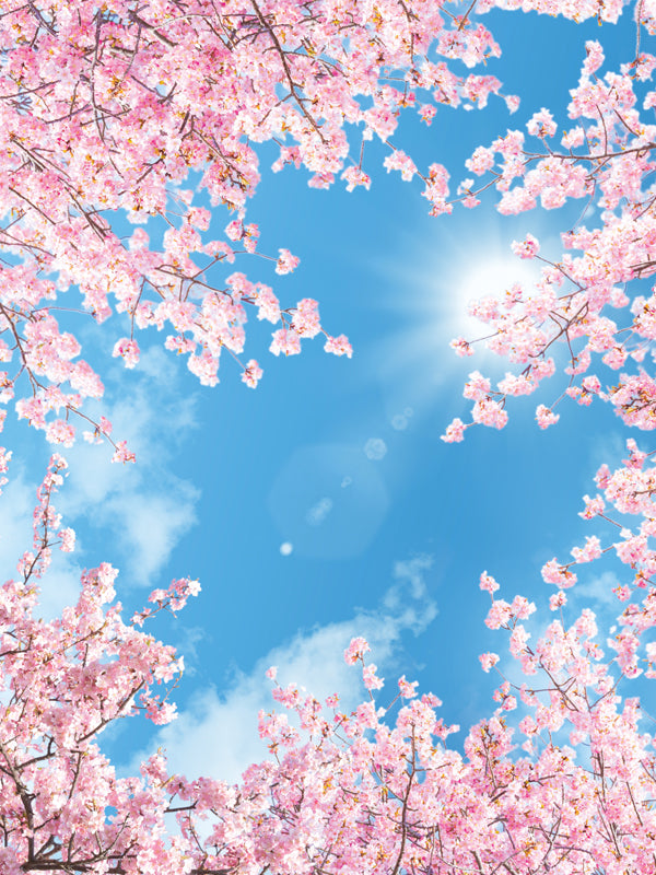 RainCaper Cherry Blossoms design