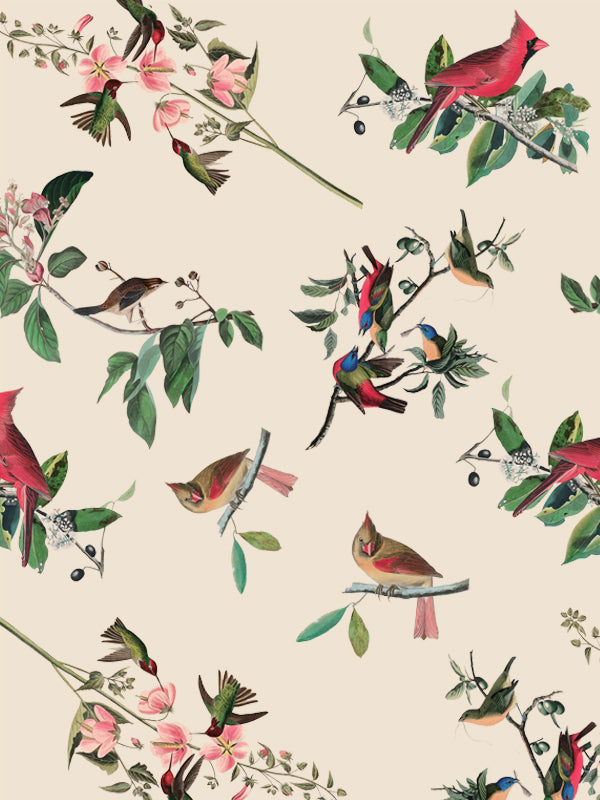 Audubon North American Wild Birds collection – rain cape, umbrellas, shawl and travel accessories featuring cardinals, hummingbirds and finches