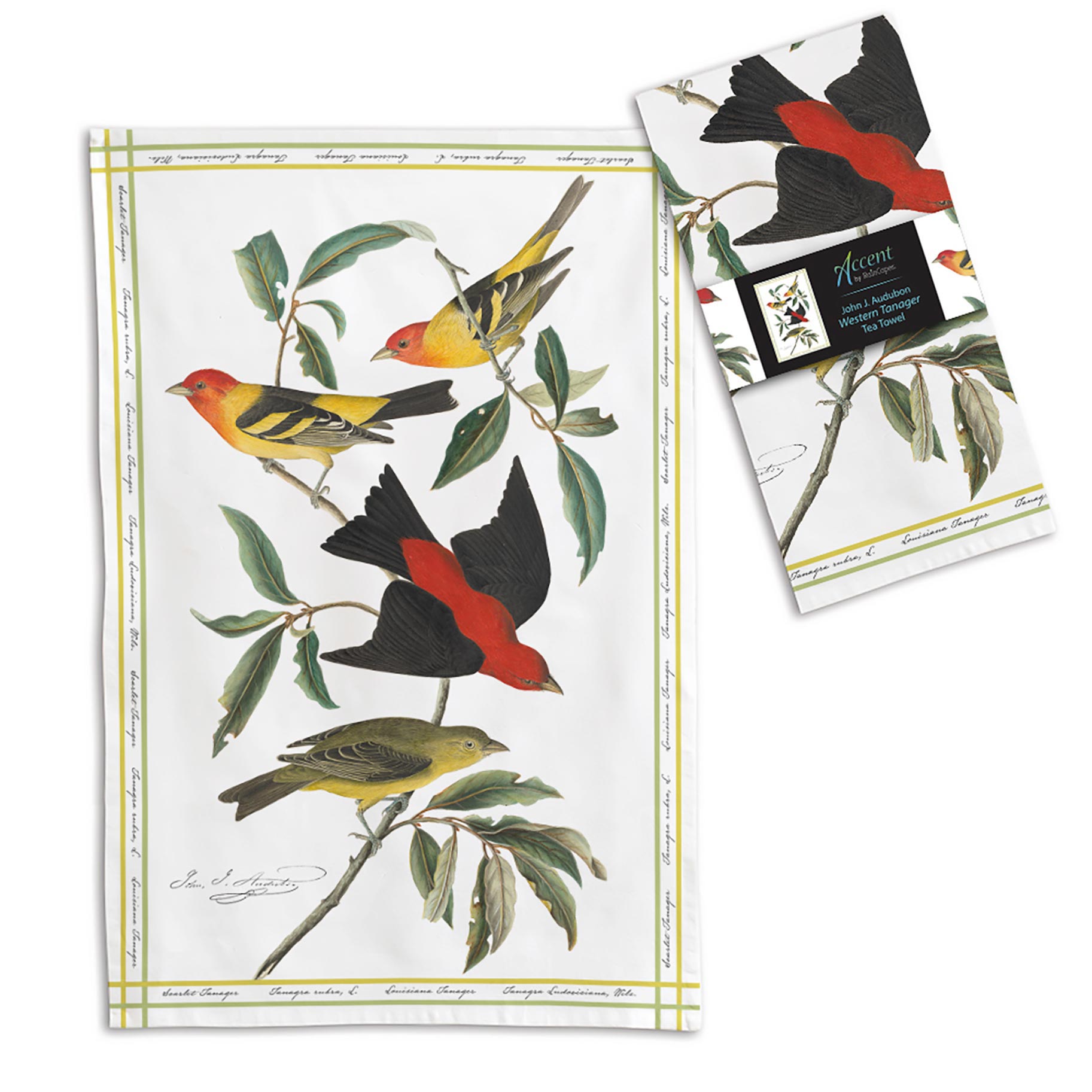 Audubon Tanager Cotton Tea Towel