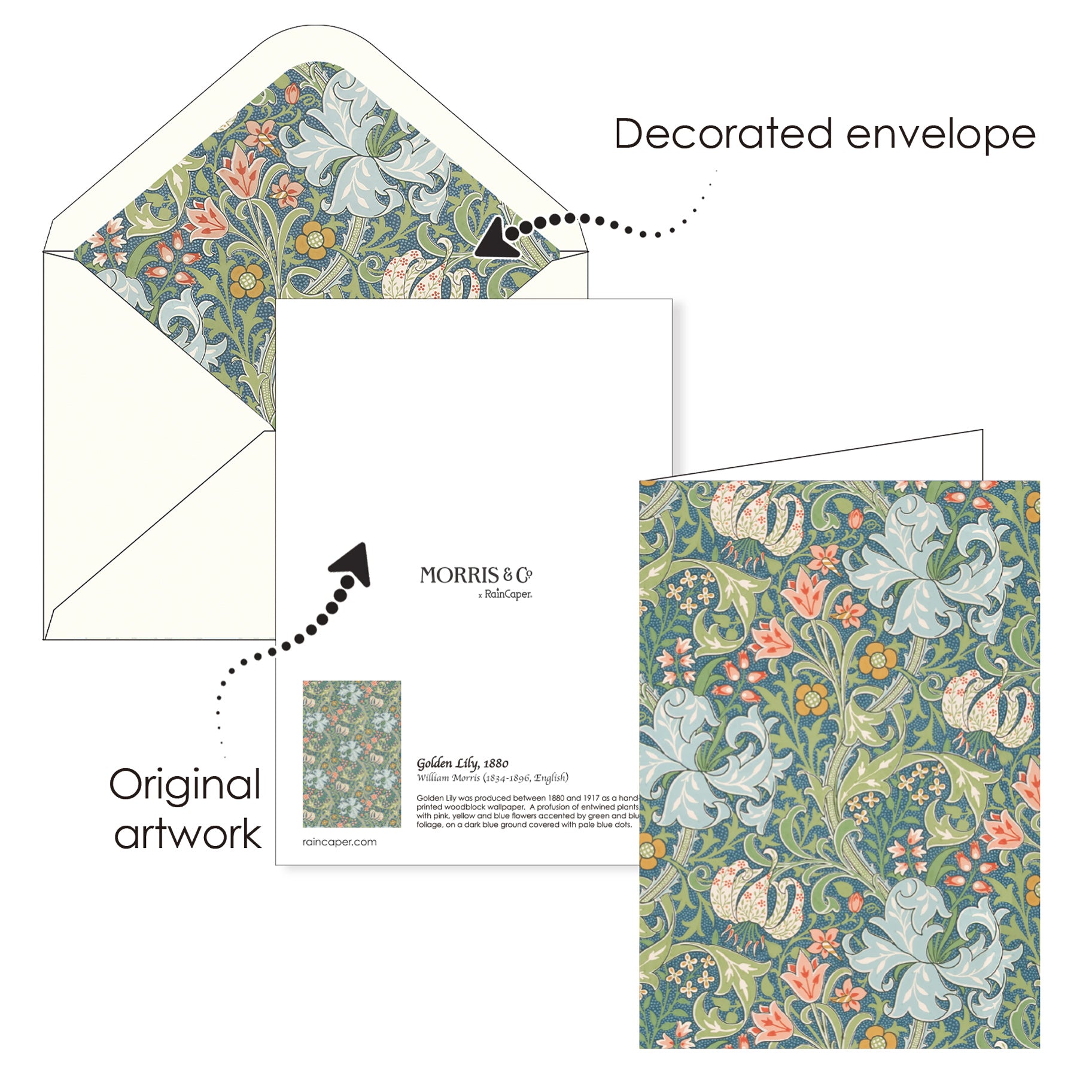 William Morris Favorites - Boxed Blank Note Cards – Set of 16 in a