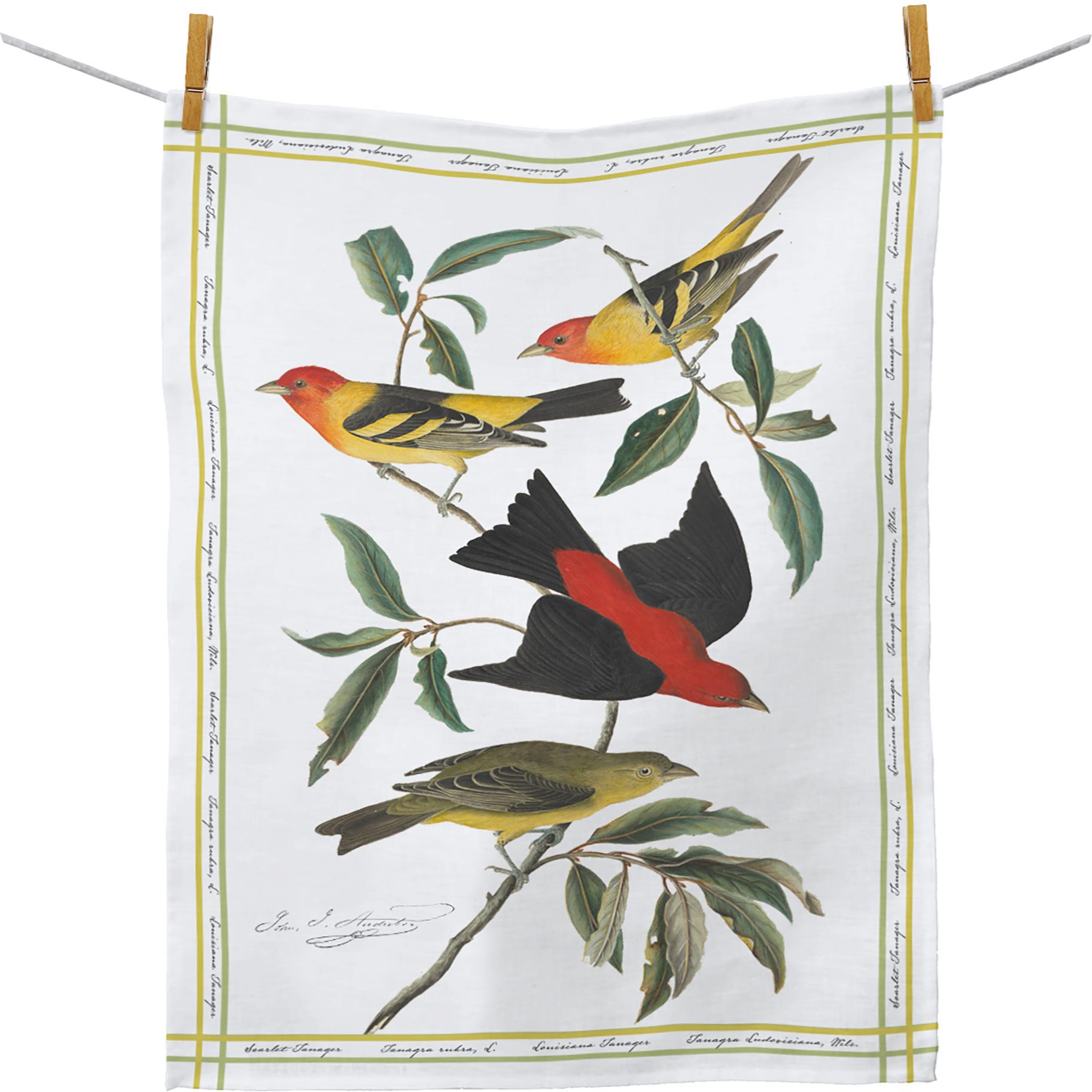 Audubon Tanager Cotton Tea Towel