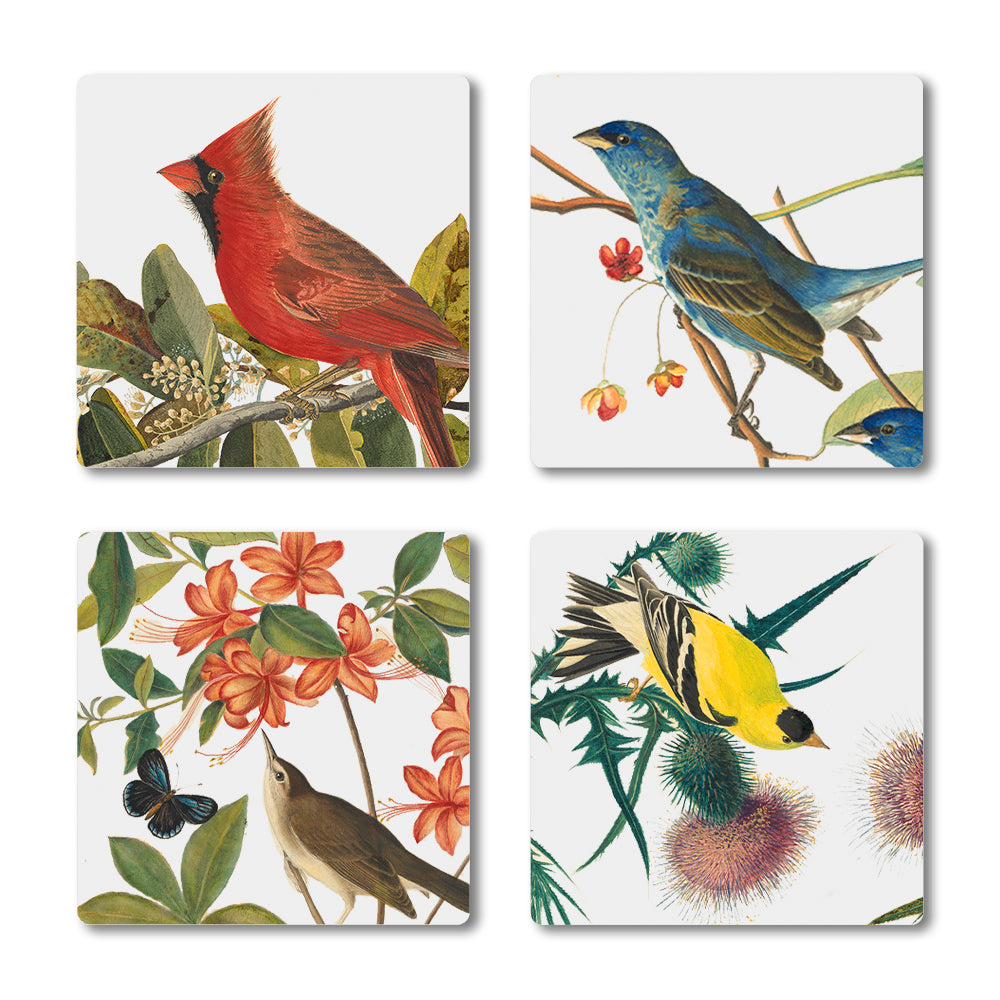 Audubon Birds Ceramic Coaster Set