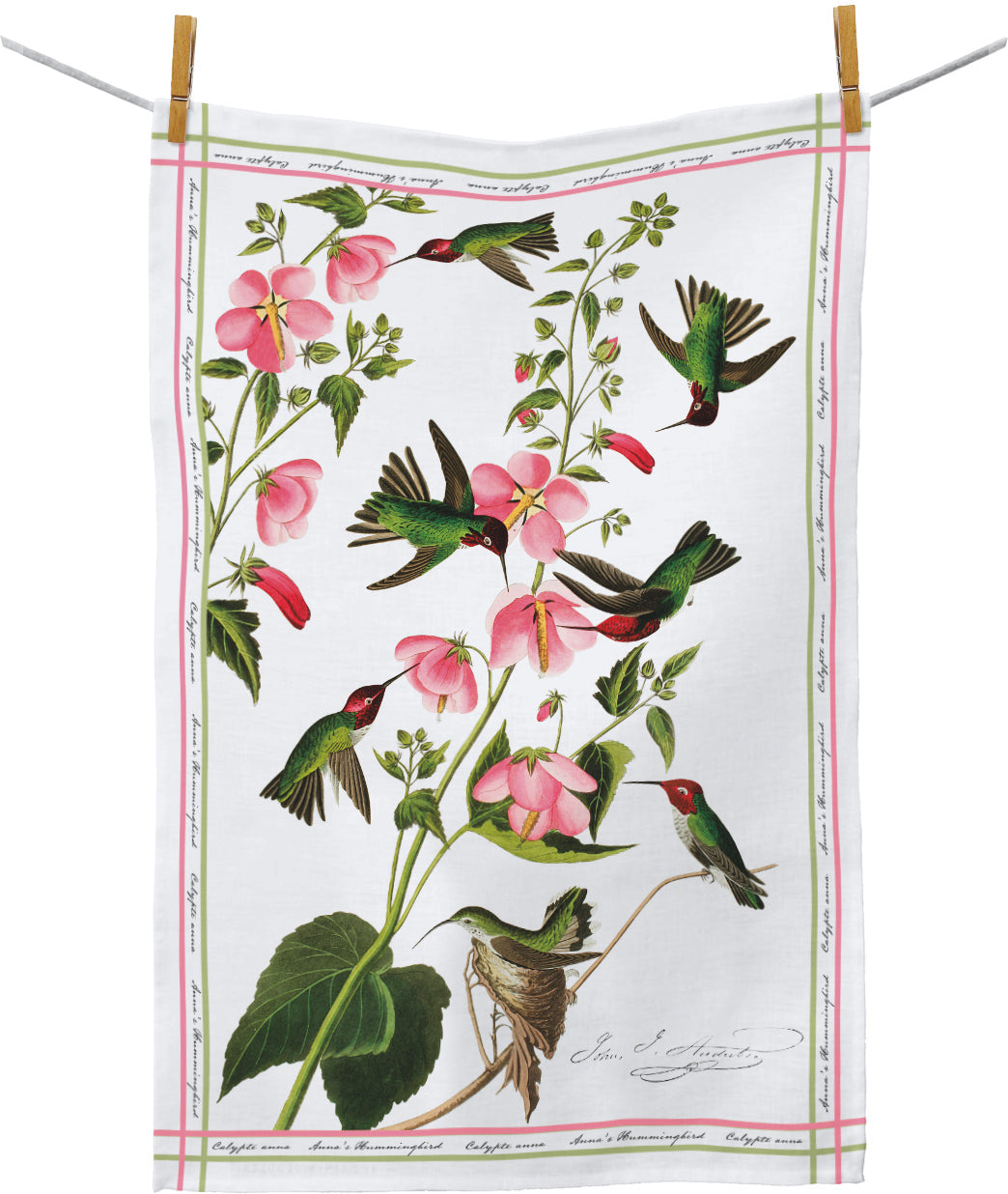 Audubon Anna's Hummingbird Cotton Tea Towel